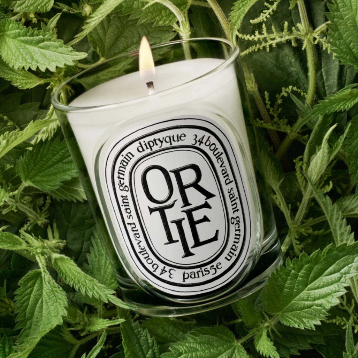 Diptyque - Classic Candle - Ortie (Nettle)