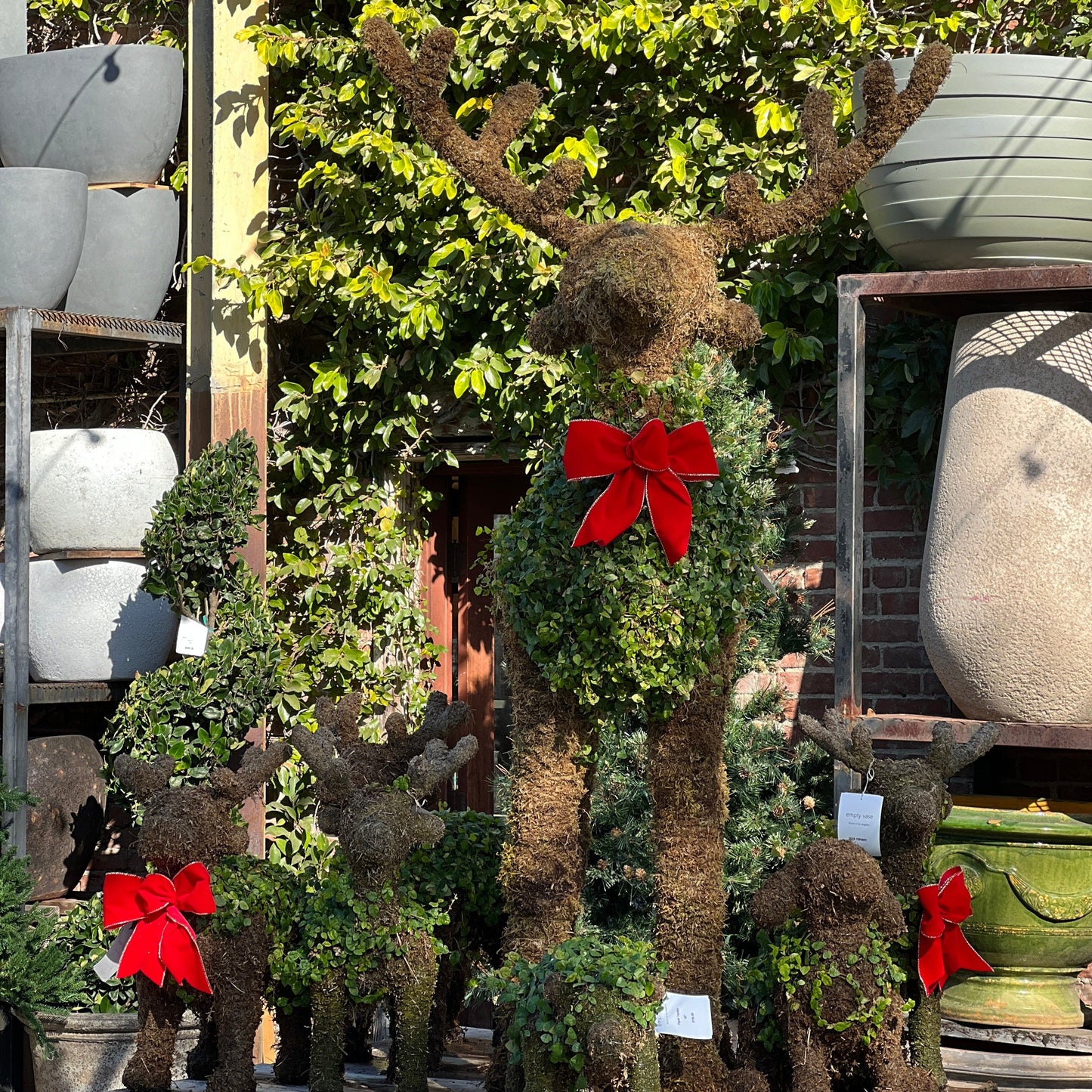 Deer - Reindeer Topiary