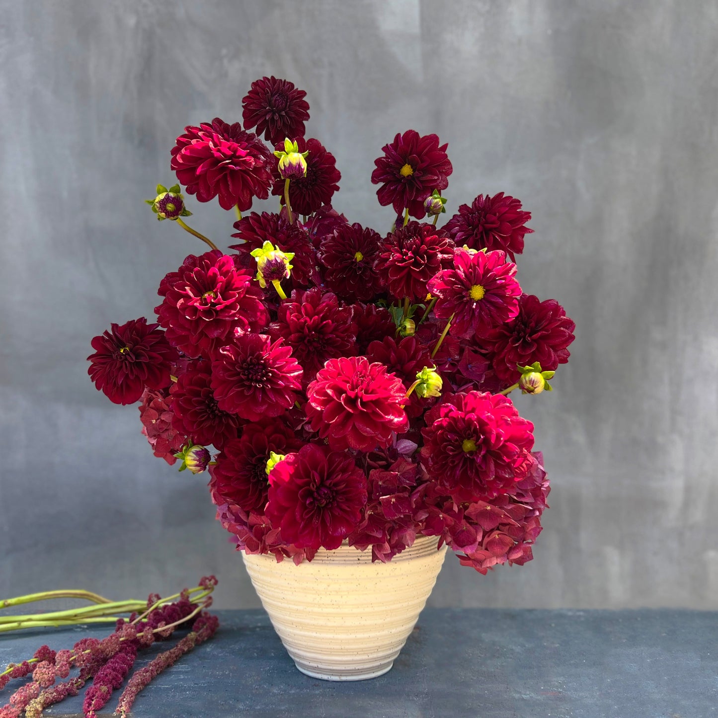 The Crimson Velvet