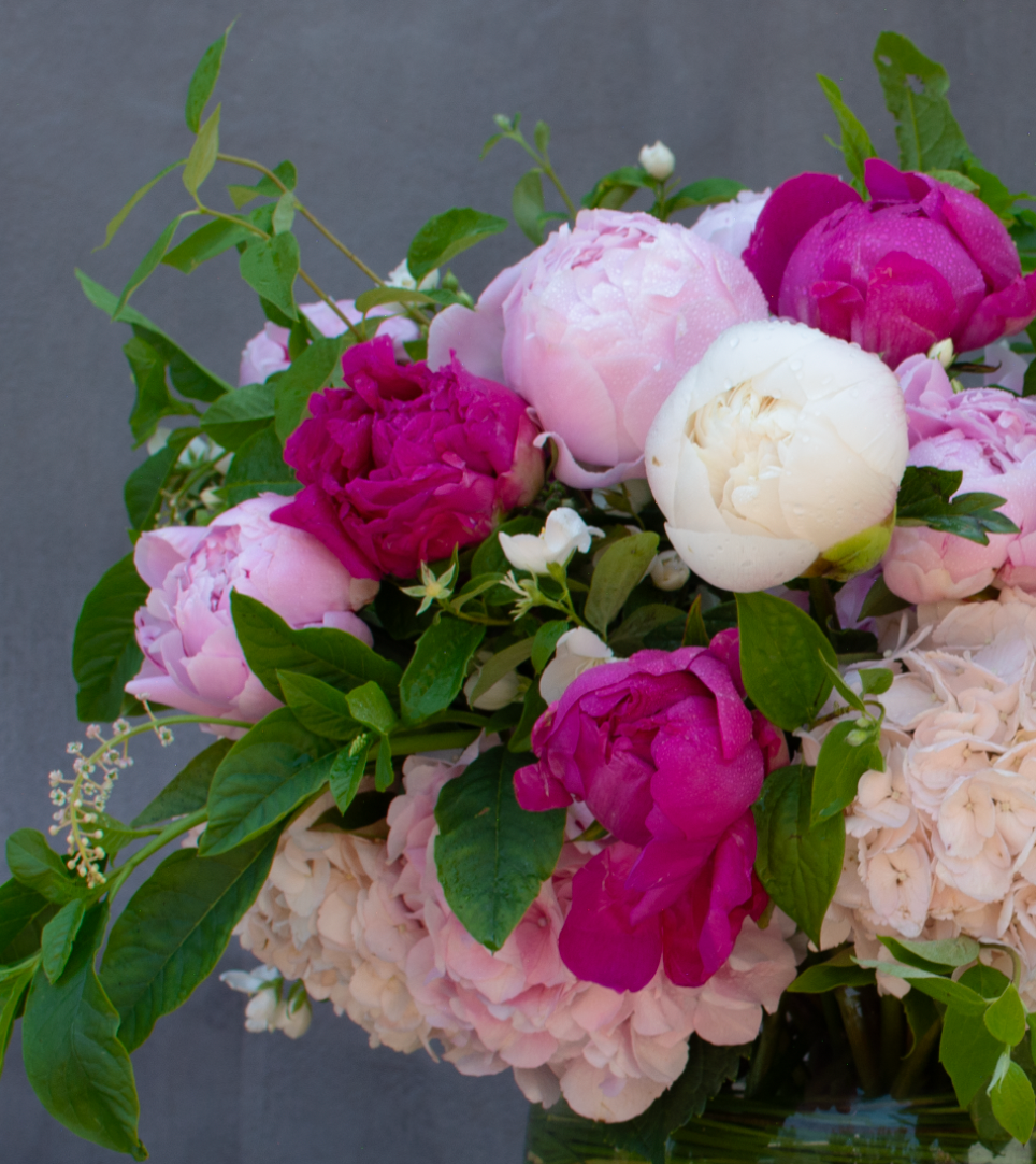 Peony Garden