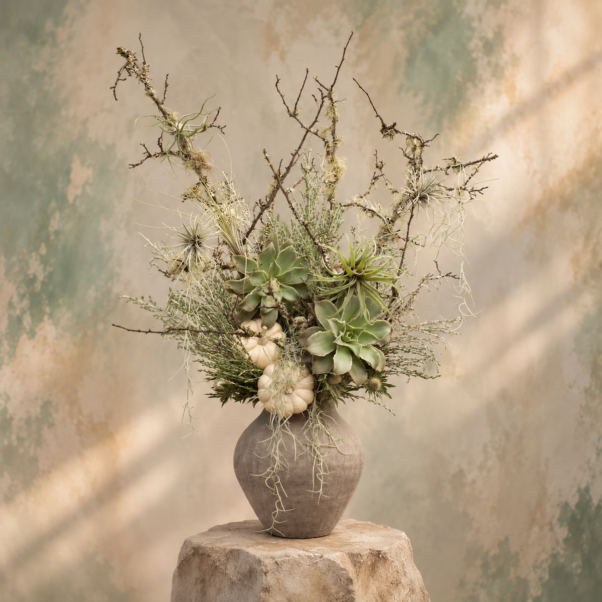Laurel Canyon Mist arrangement of Echeveria, air plants, Spanish moss, and white mini pumpkins in a ribbed ceramic vase