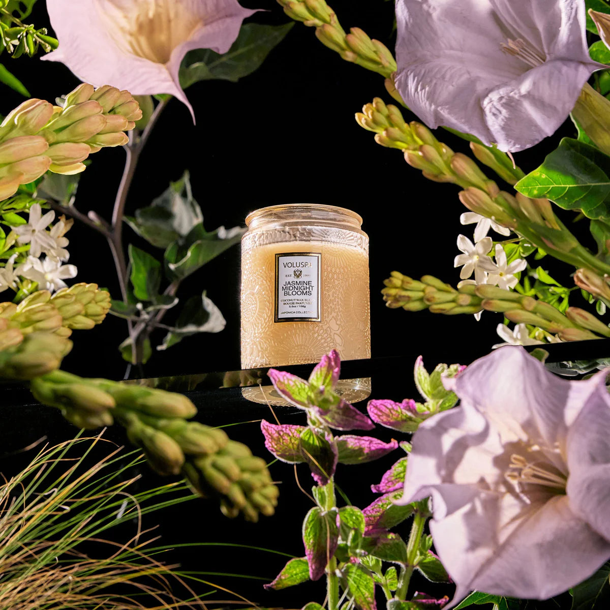 Voluspa - Small Jar Candle - Jasmine Midnight Blooms