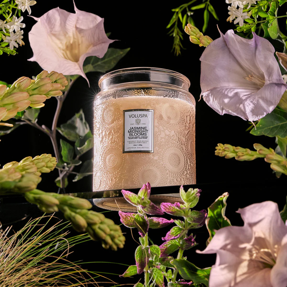 Voluspa - Luxe Jar Candle - Jasmine Midnight Blooms