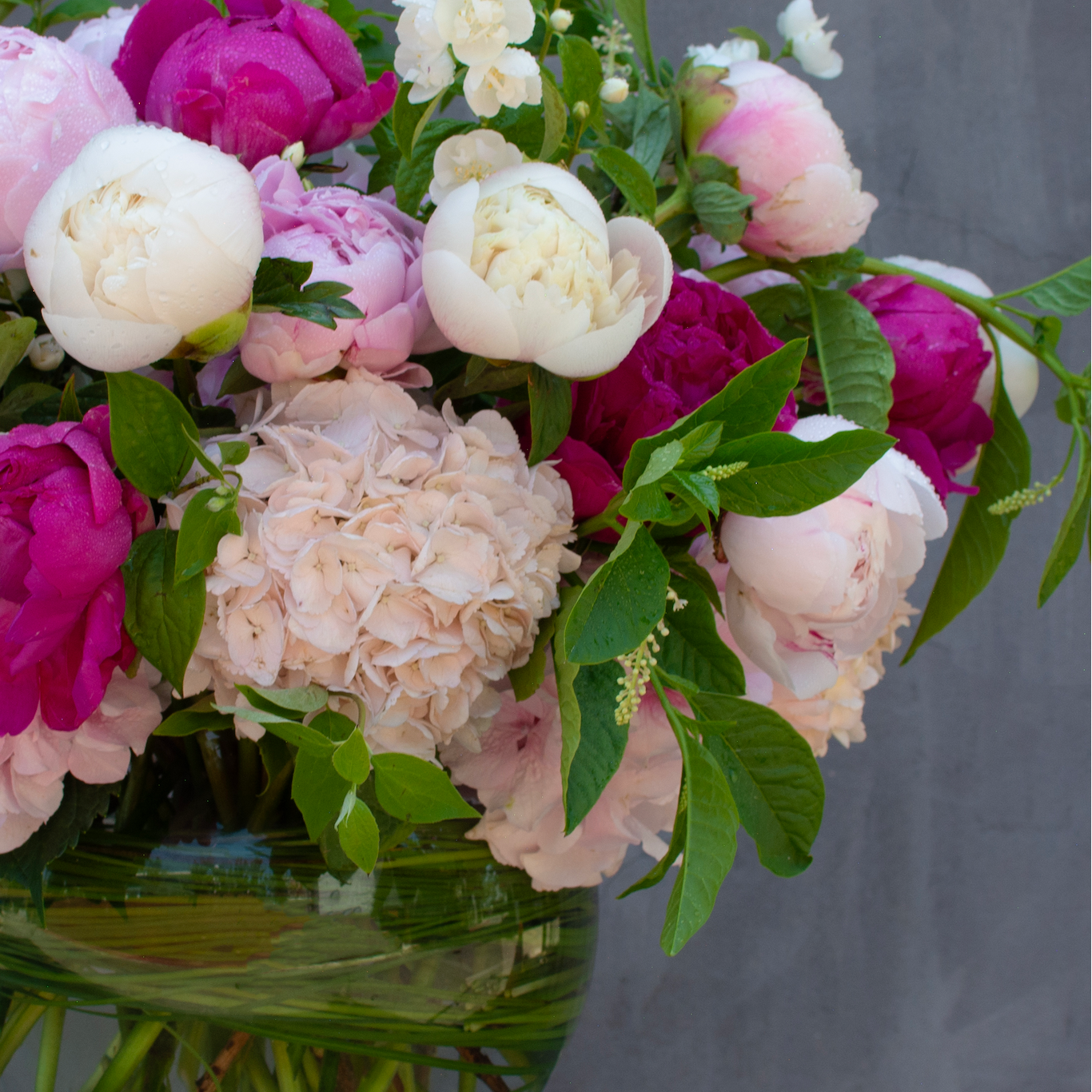 Peony Garden