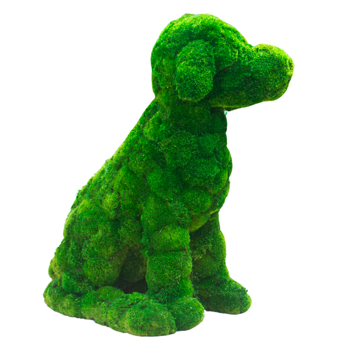 Moss Dog Topiary