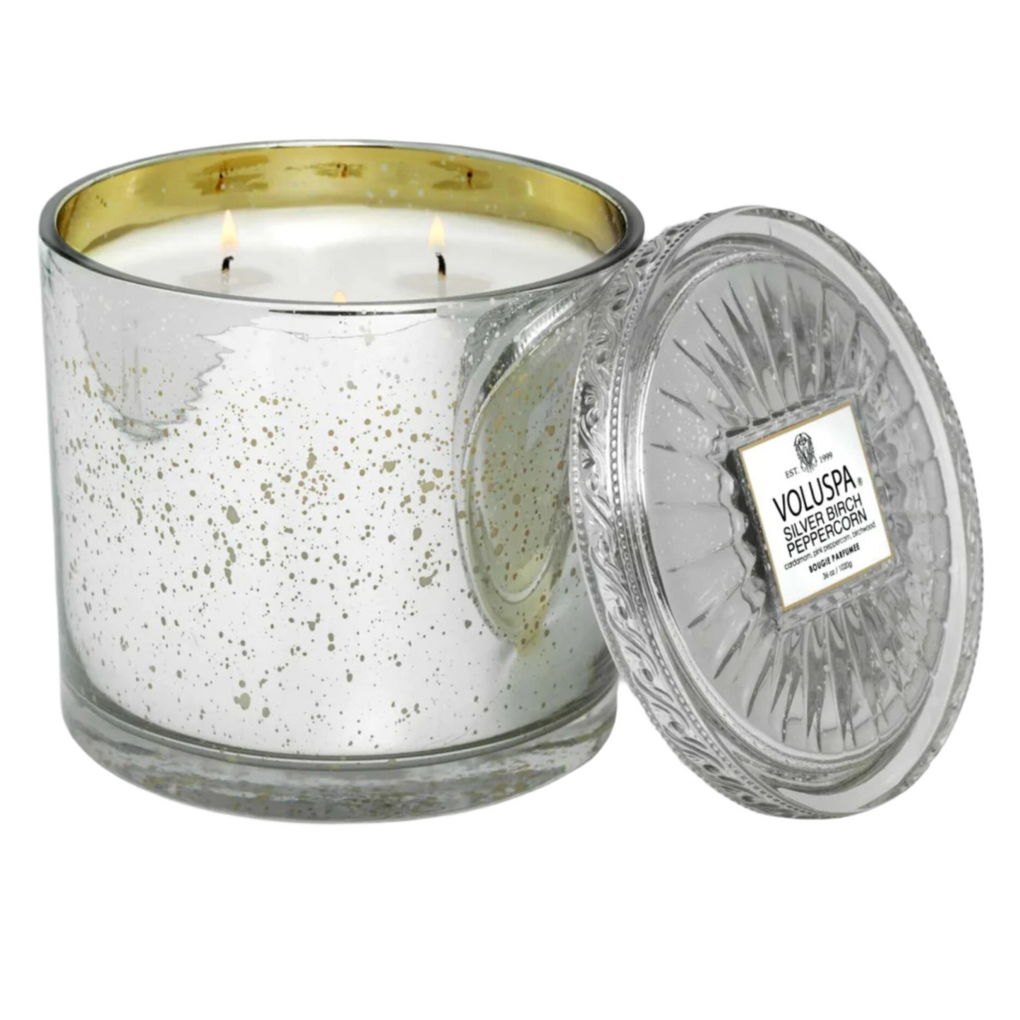 Voluspa - Grande Maison Candle - Silver Birch Peppercorn