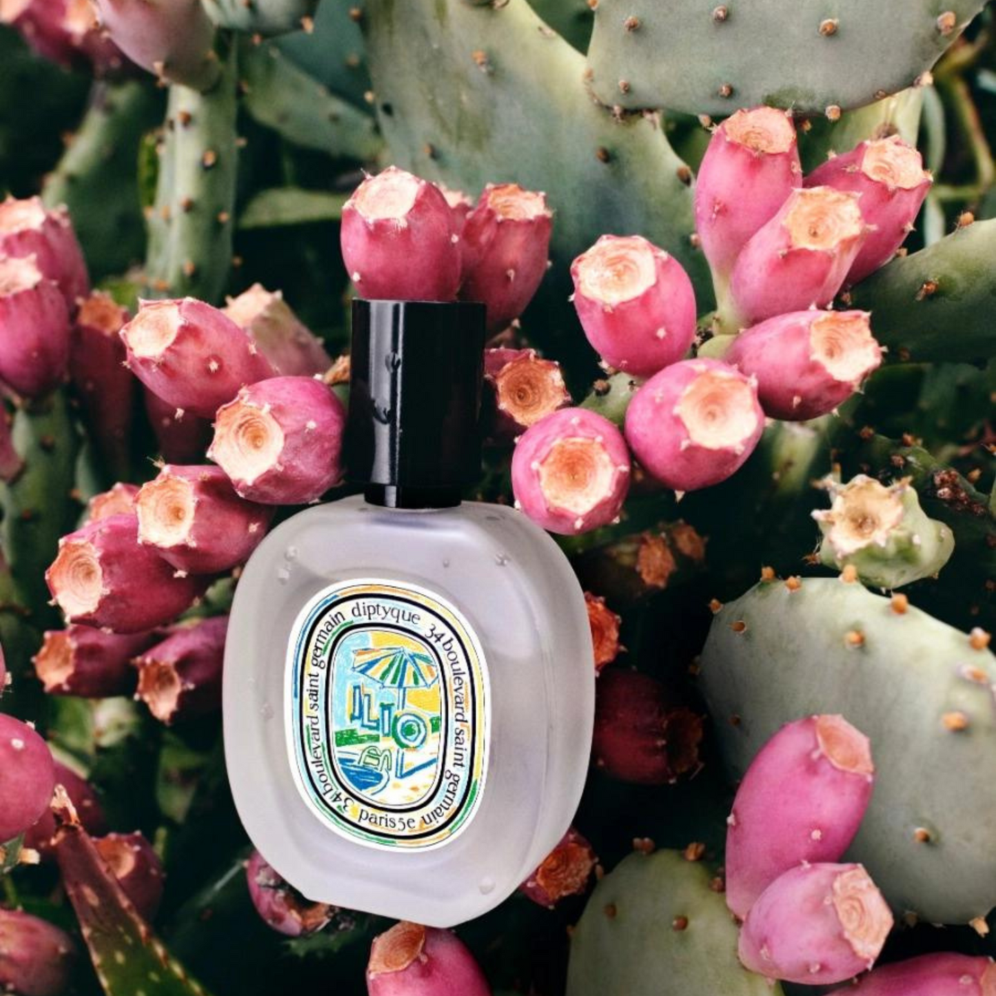 Diptyque - Hairmist -Ilio