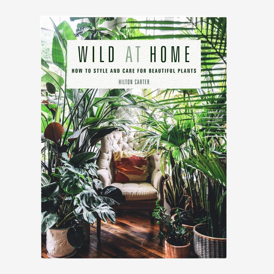 Book - Wild At Home: How to Style and Care for Beautiful Plants