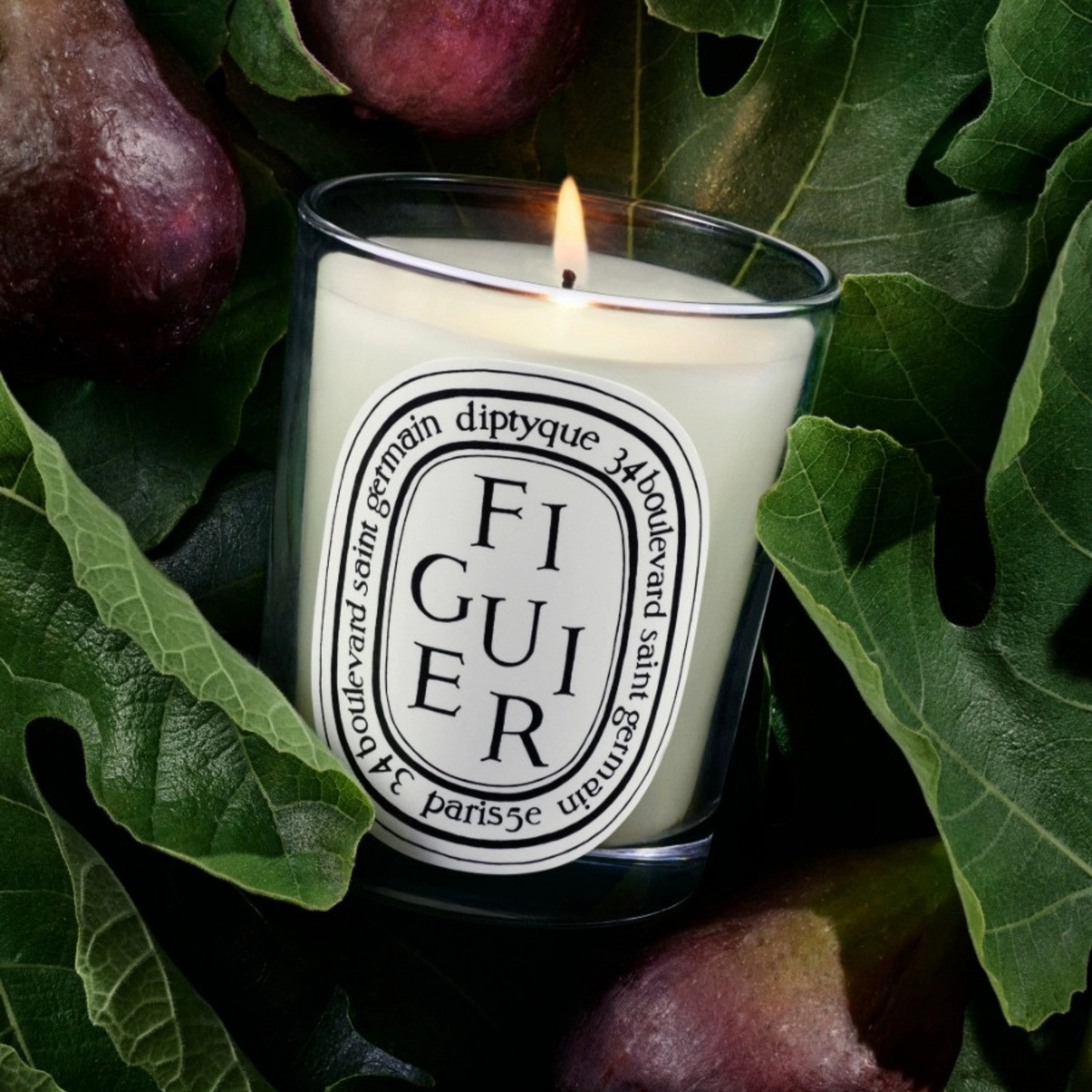 Diptyque - Small Candle - Figuier