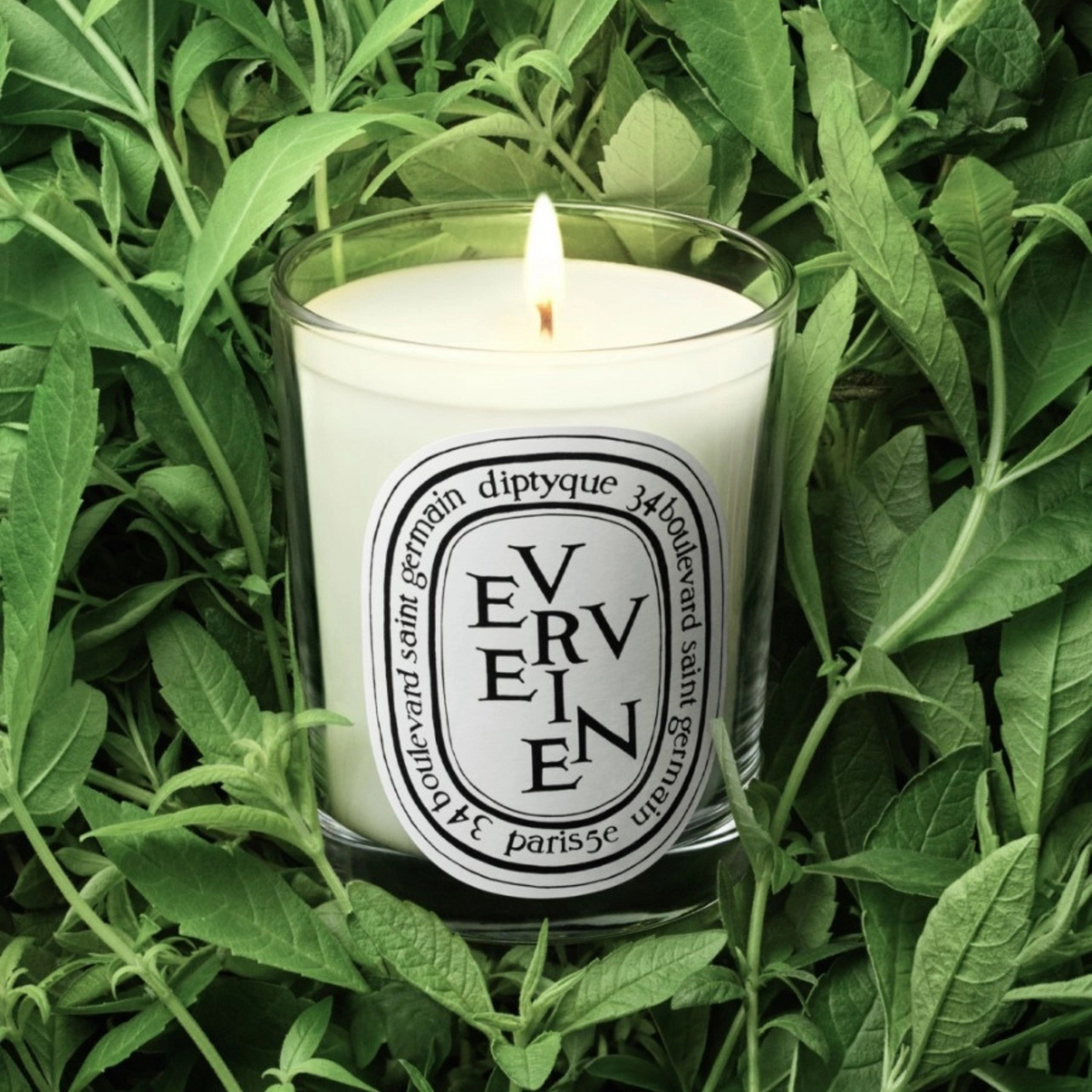 Diptyque - Classic Candle Vervine