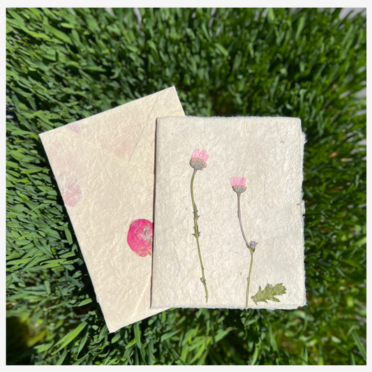 Empty Vase - Hand-made Pressed Flower Greeting Cards