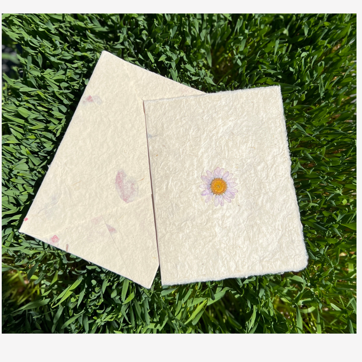 Empty Vase - Hand-made Pressed Flower Greeting Cards