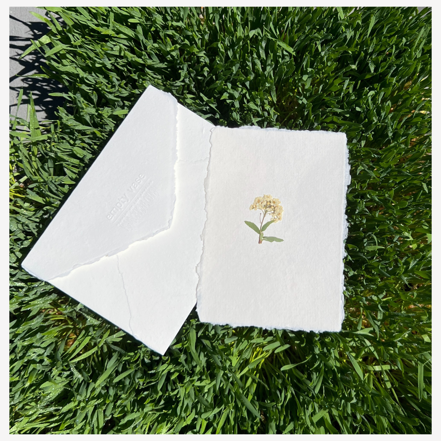 Empty Vase - Handmade Pressed Flower Postcard