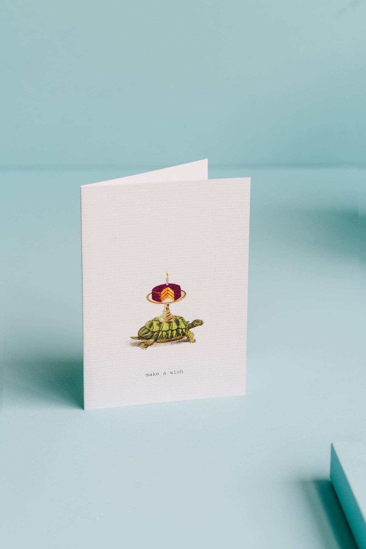 Margot Elena Make a Wish greeting card