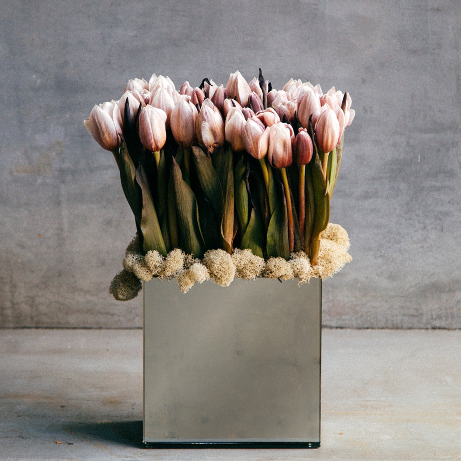 Renaissance Romance Set