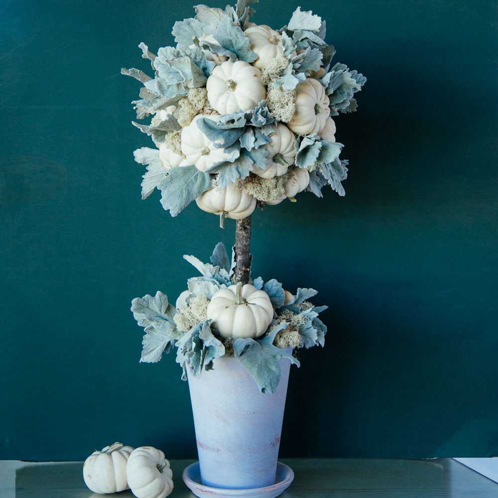 White Pumpkin Tree