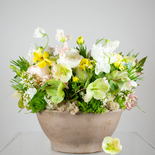 Spring Medley
