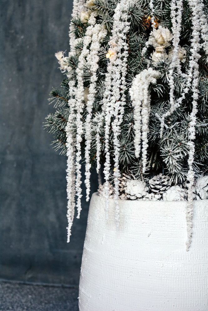 La Ville Lumière Tree