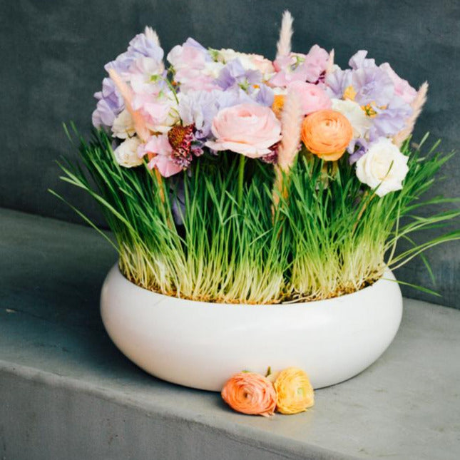 Nantucket Pastel