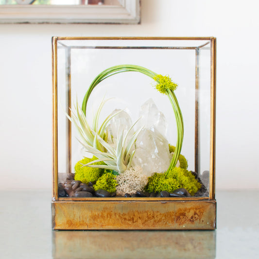 Green Serene - One of a Kind Terrarium