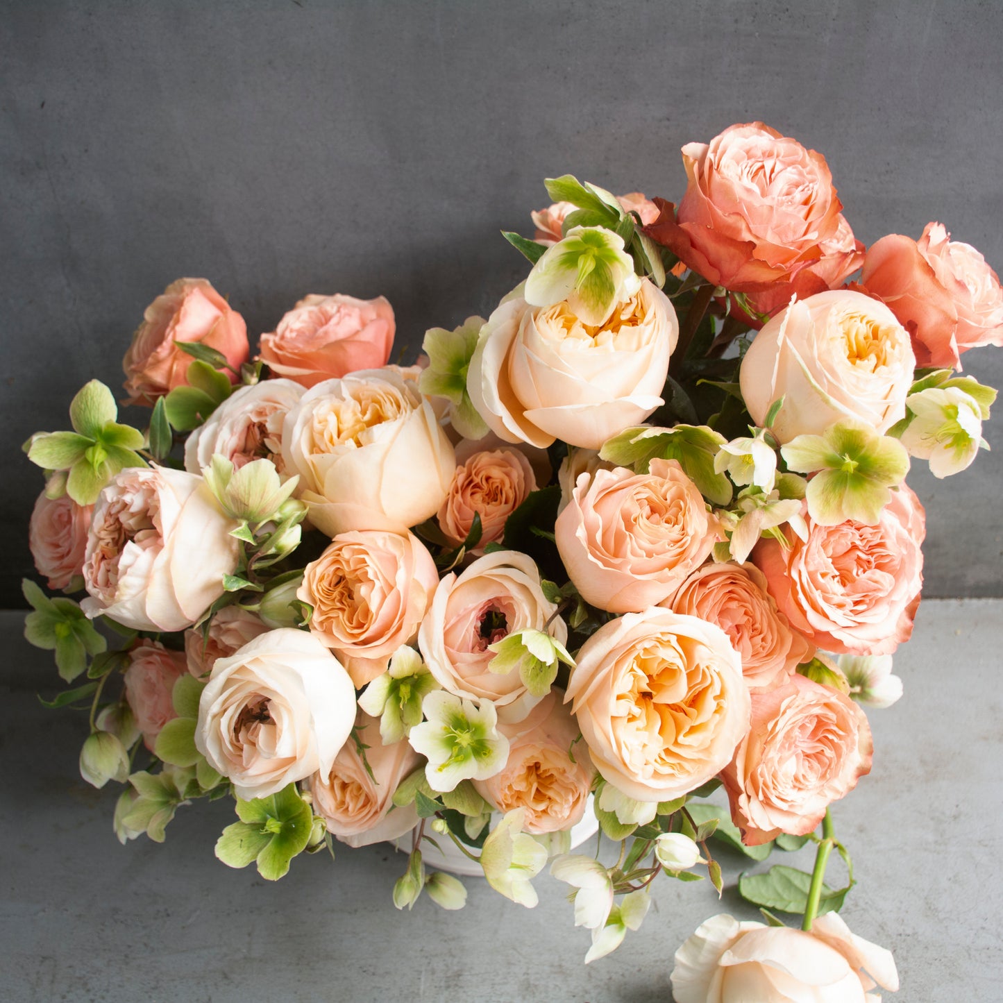 Cream Elegance