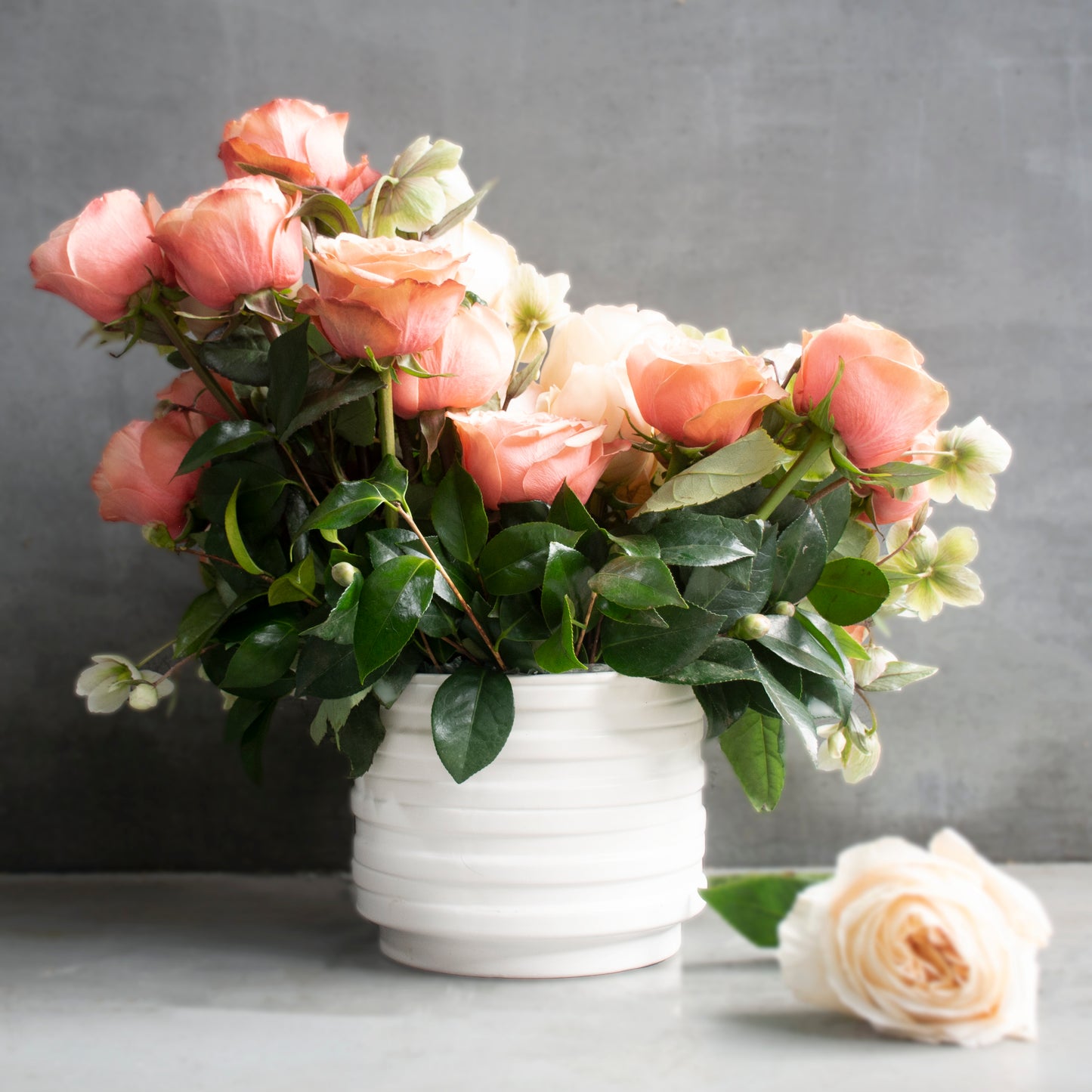 Cream Elegance