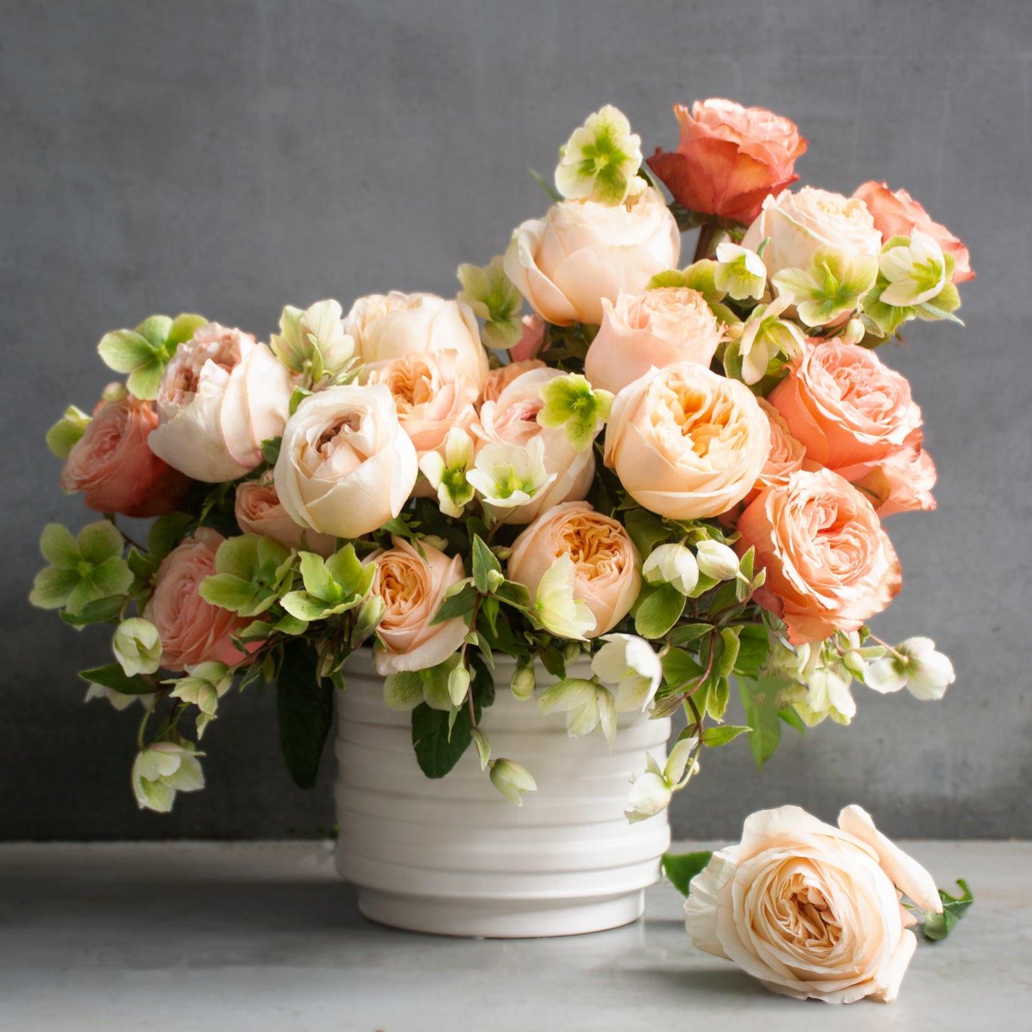 Cream Elegance