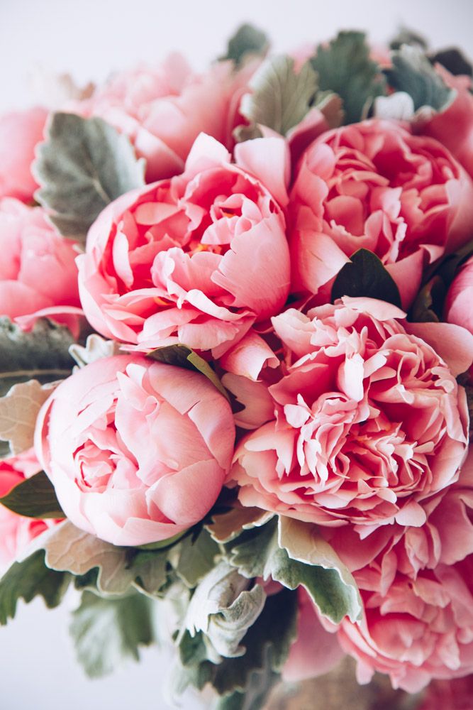 A Blush of Summer