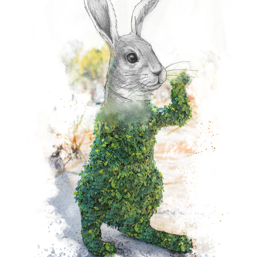 Standing Bunny Topiary