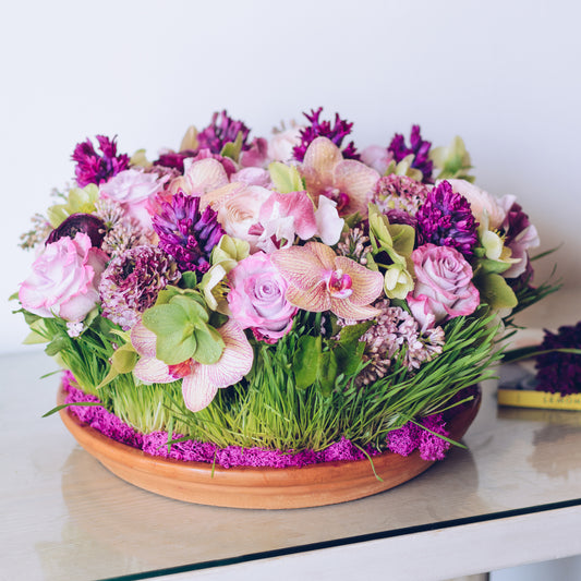 Full Bloom