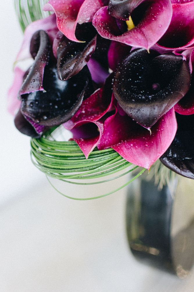 Burgundy Calla Breeze