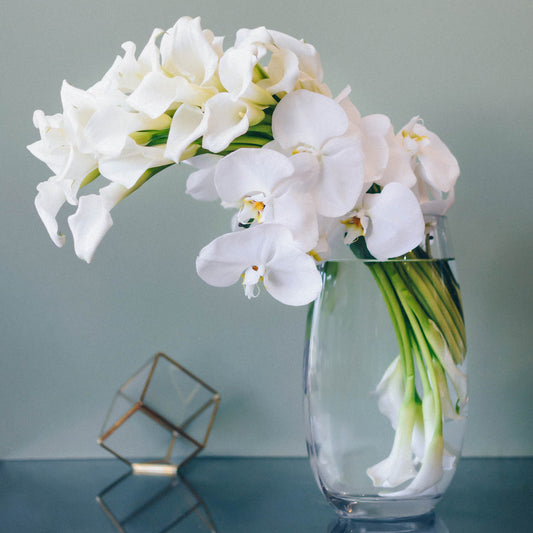 Endless Elegance
