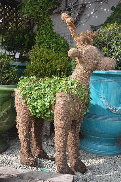 Deer - Reindeer Topiary