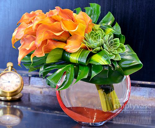 Tropical Tango
