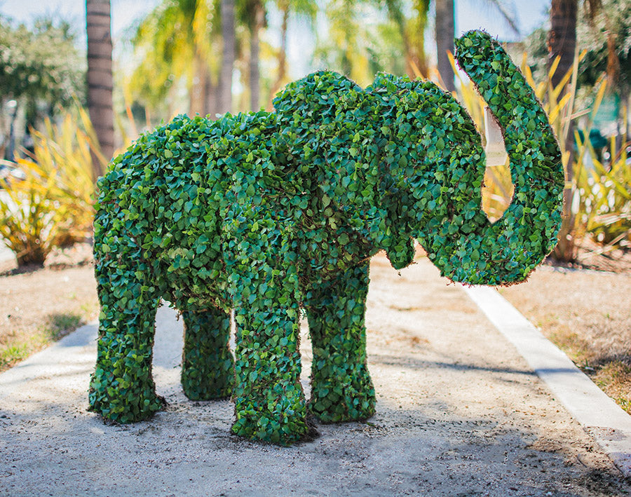 Elephant Topiary