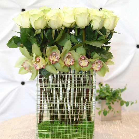 Emerald Orchids