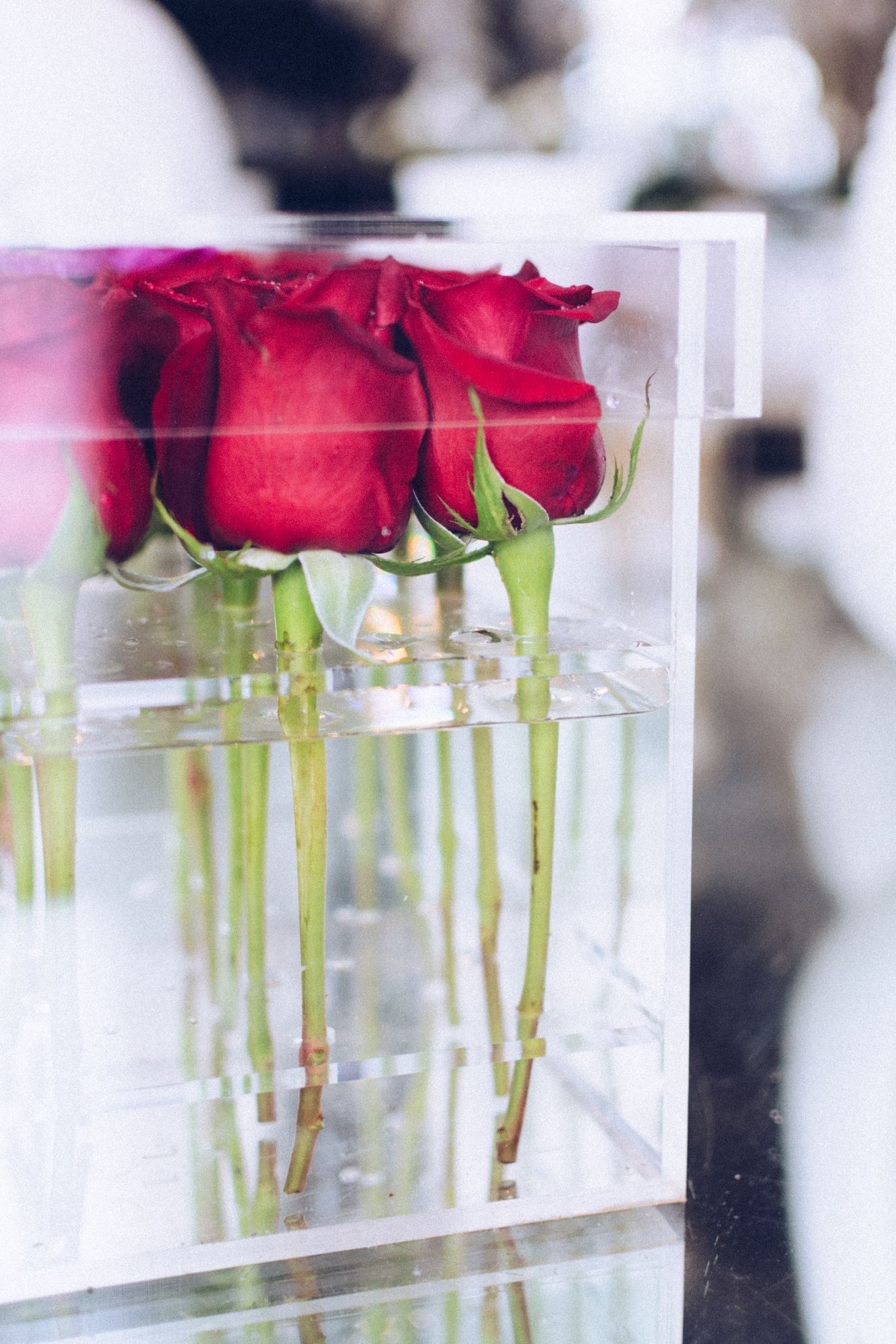 The Enchanted Flower Box