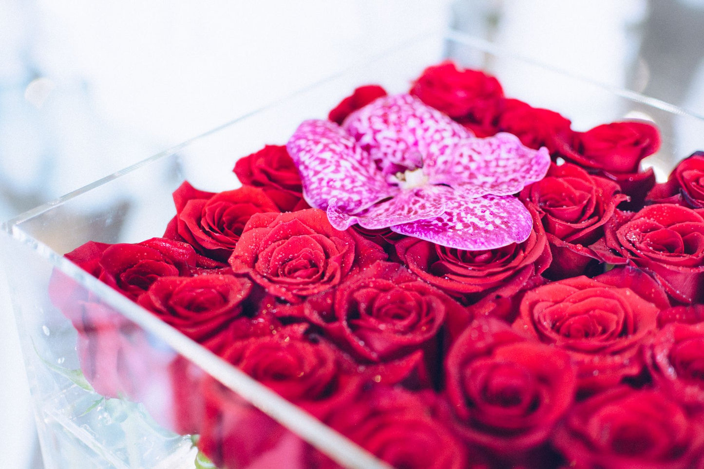 The Enchanted Flower Box