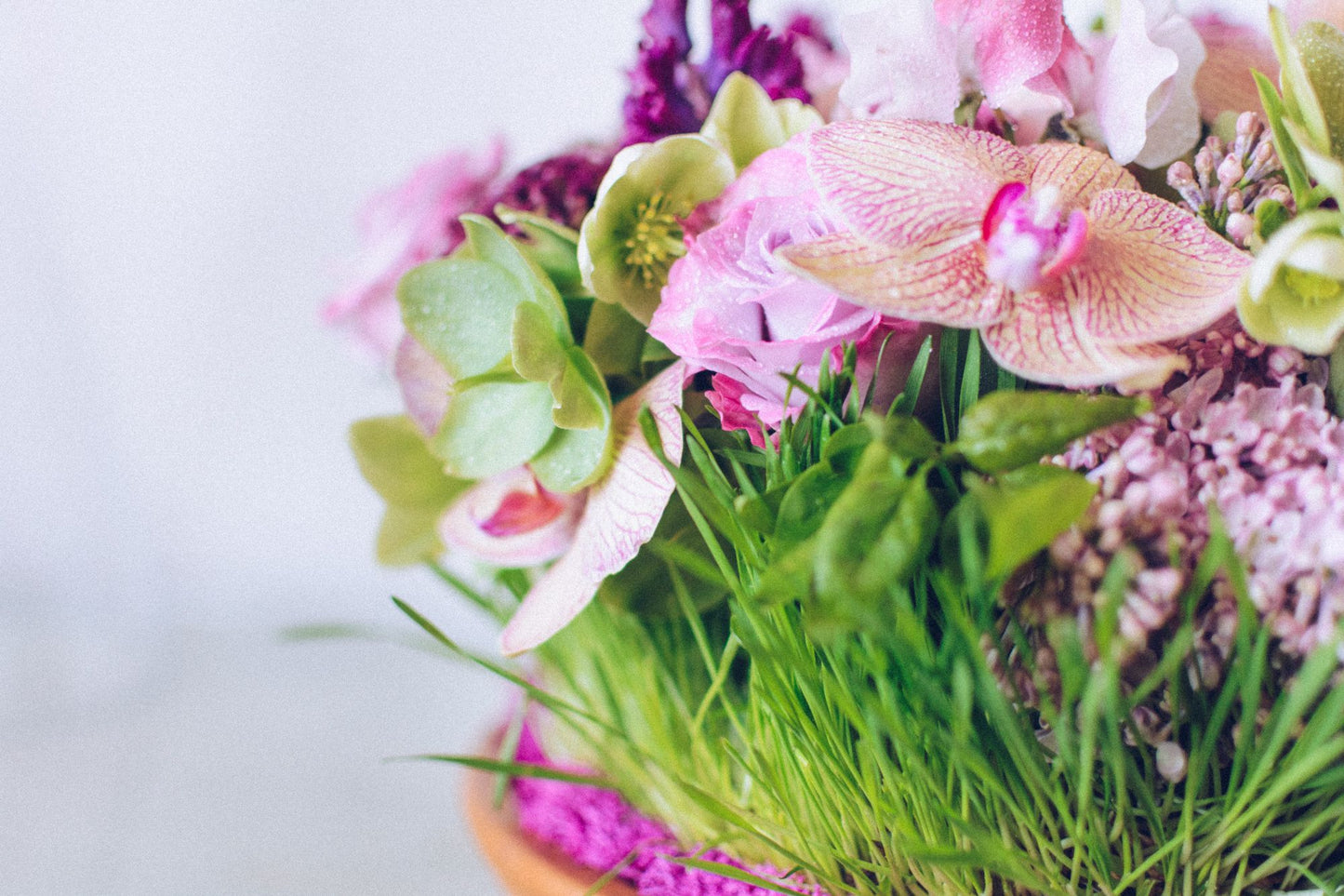Full Bloom
