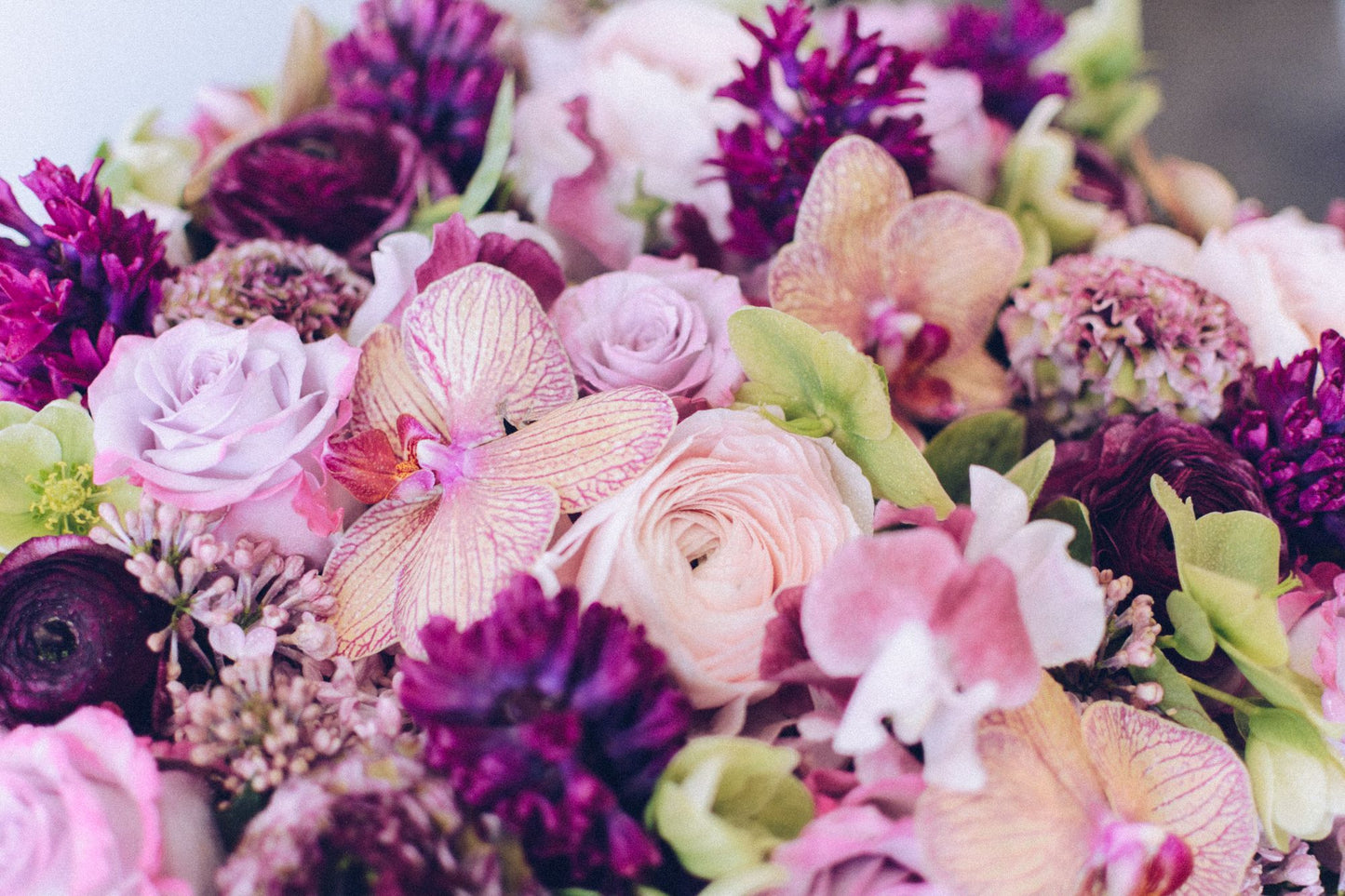 Full Bloom