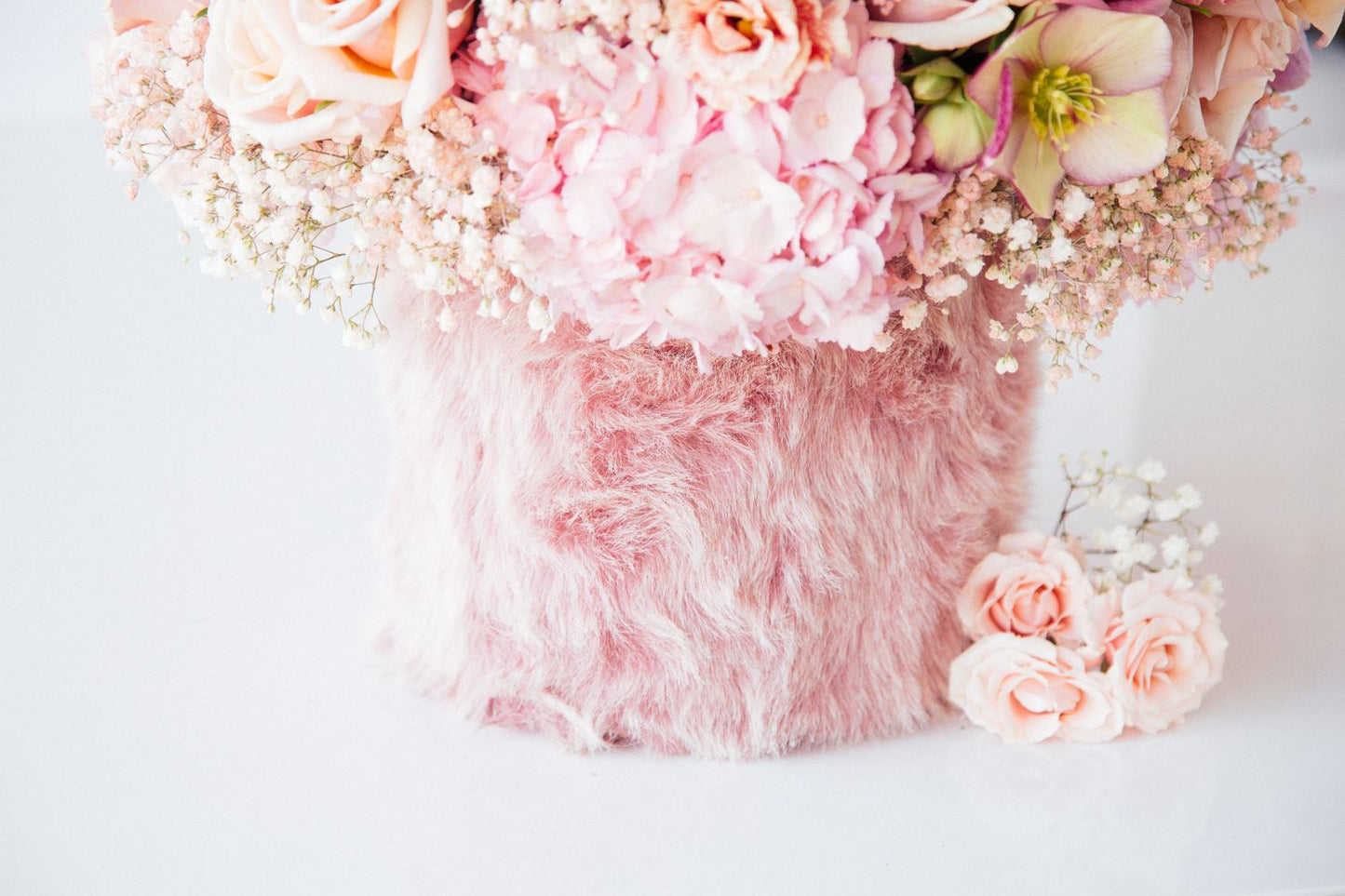 Pink Papillon