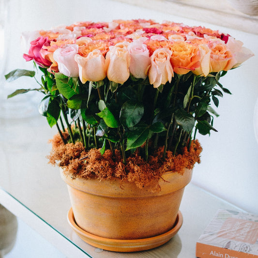 The Flower Pot