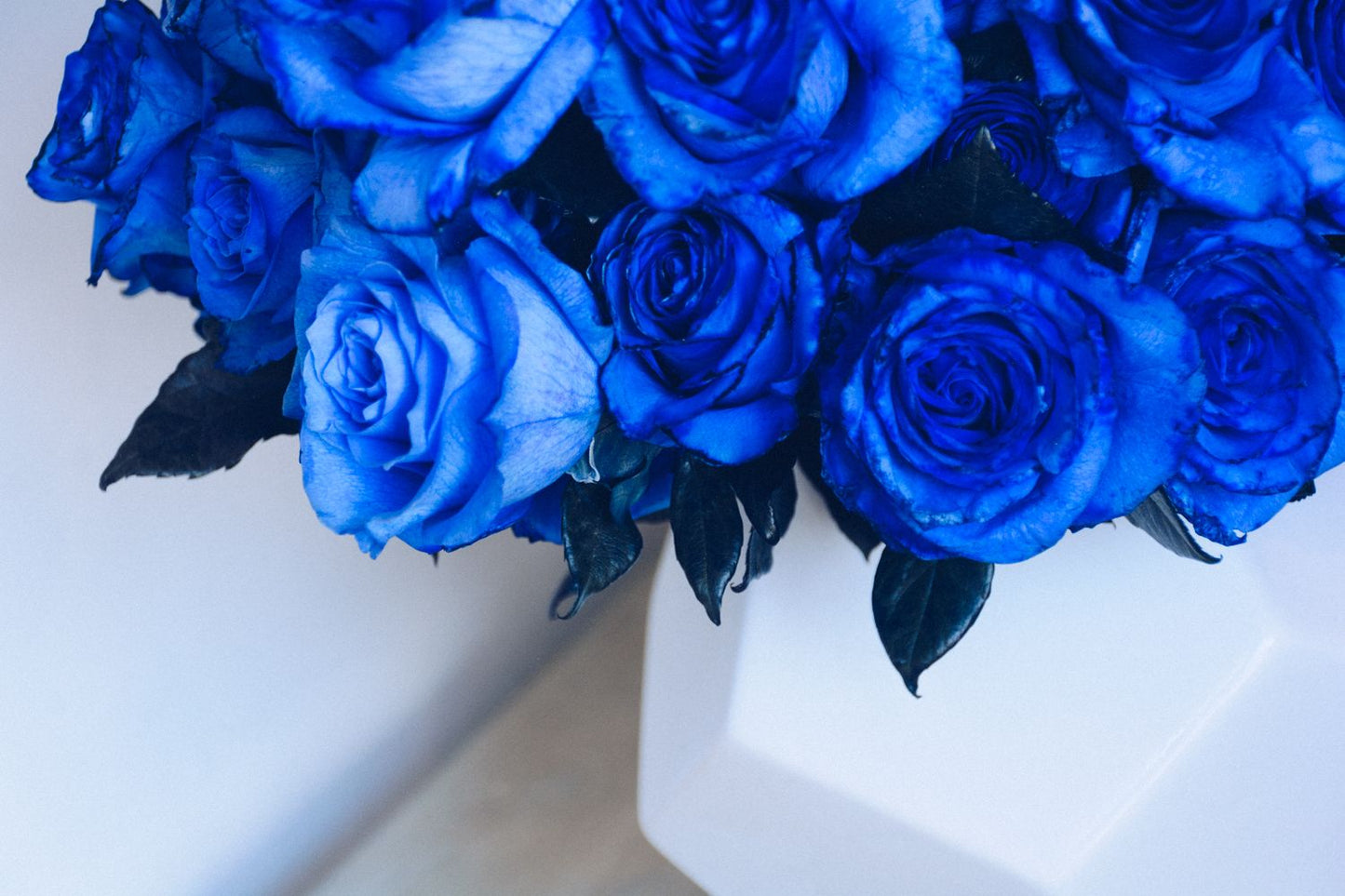 Sapphire Horizons