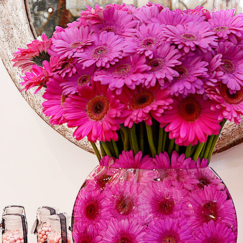 Sweet Pink Daisies