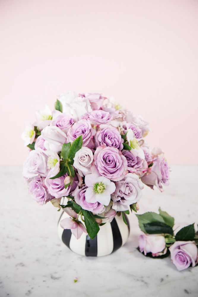 The Lavender Lover