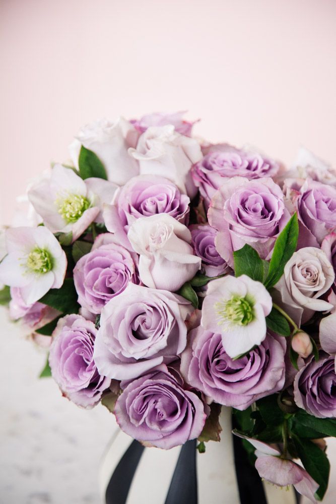 The Lavender Lover