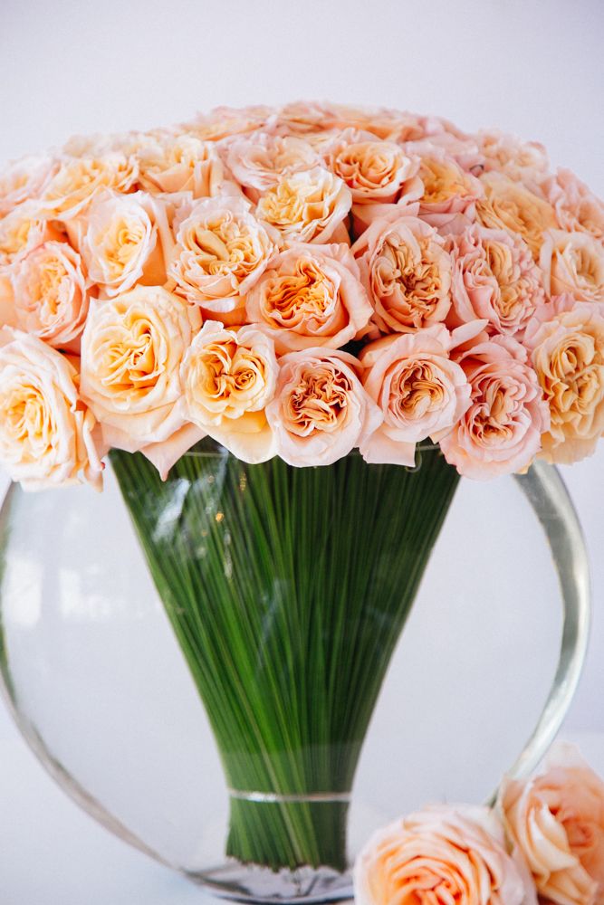 The Santorini Rose