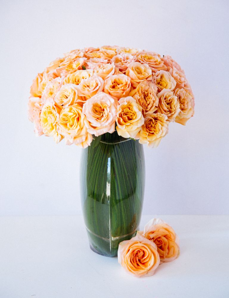 The Santorini Rose