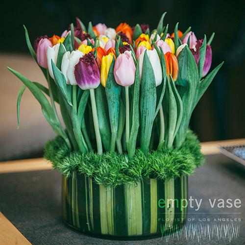 Simply Tulips