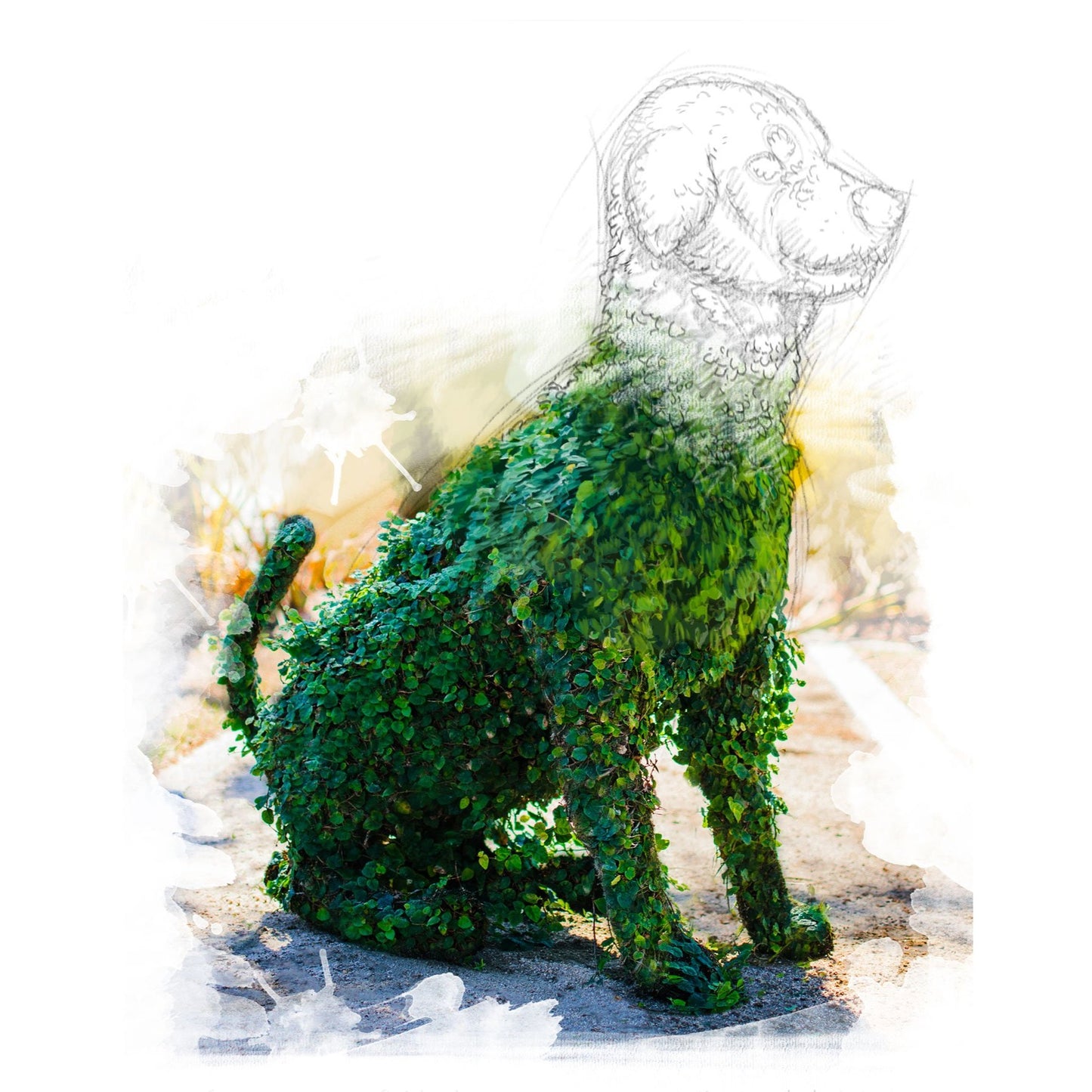 Sitting Dog Topiary